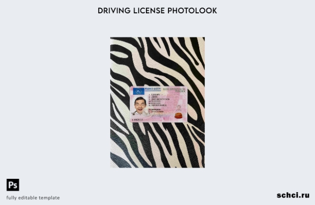 цифровая загрузка Польша DL представляет шаблон FRONT для фотоизображения
